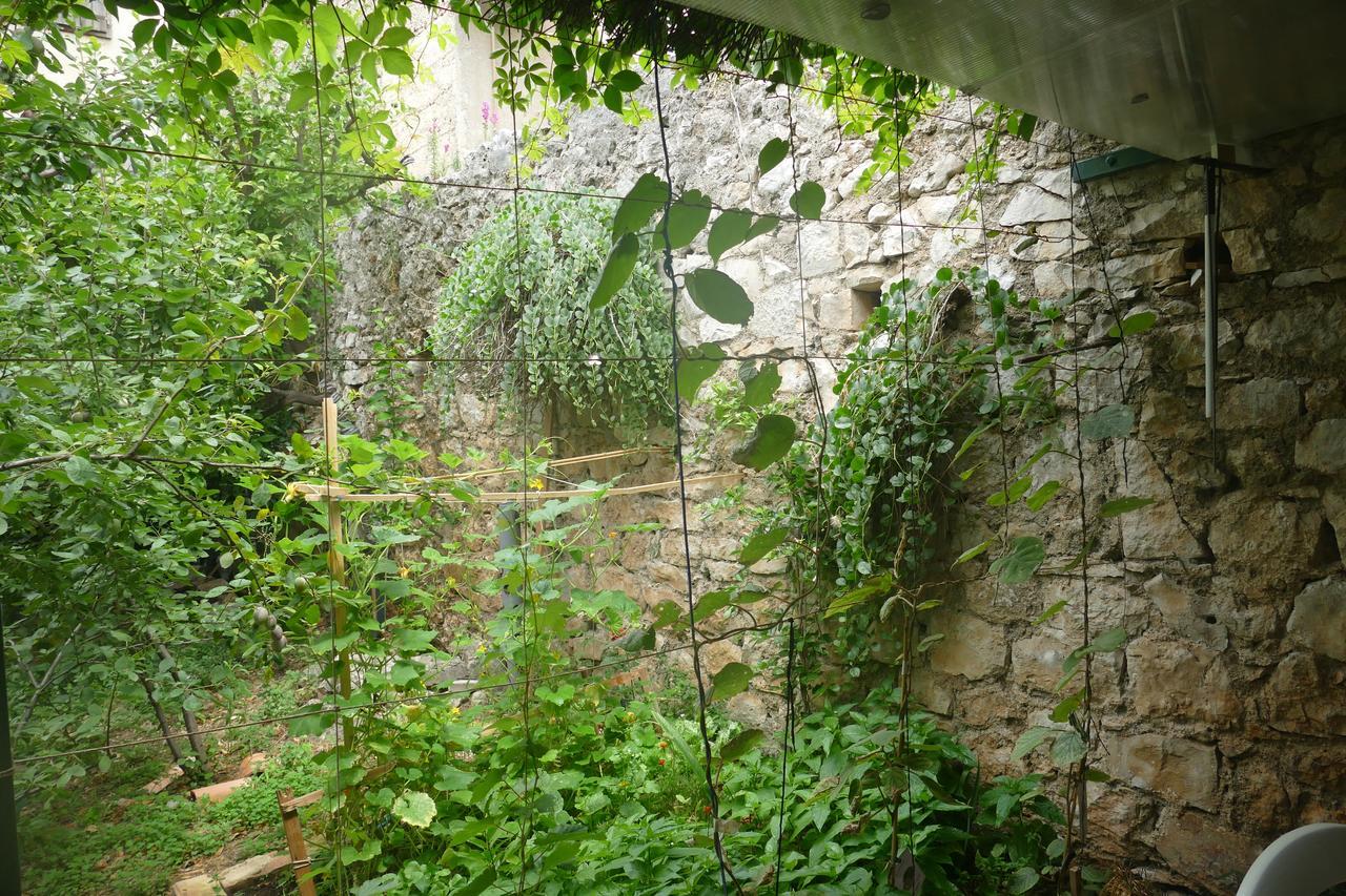 Villa Abeona ماكارسكا المظهر الخارجي الصورة